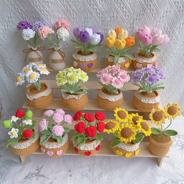 Flowers Pots