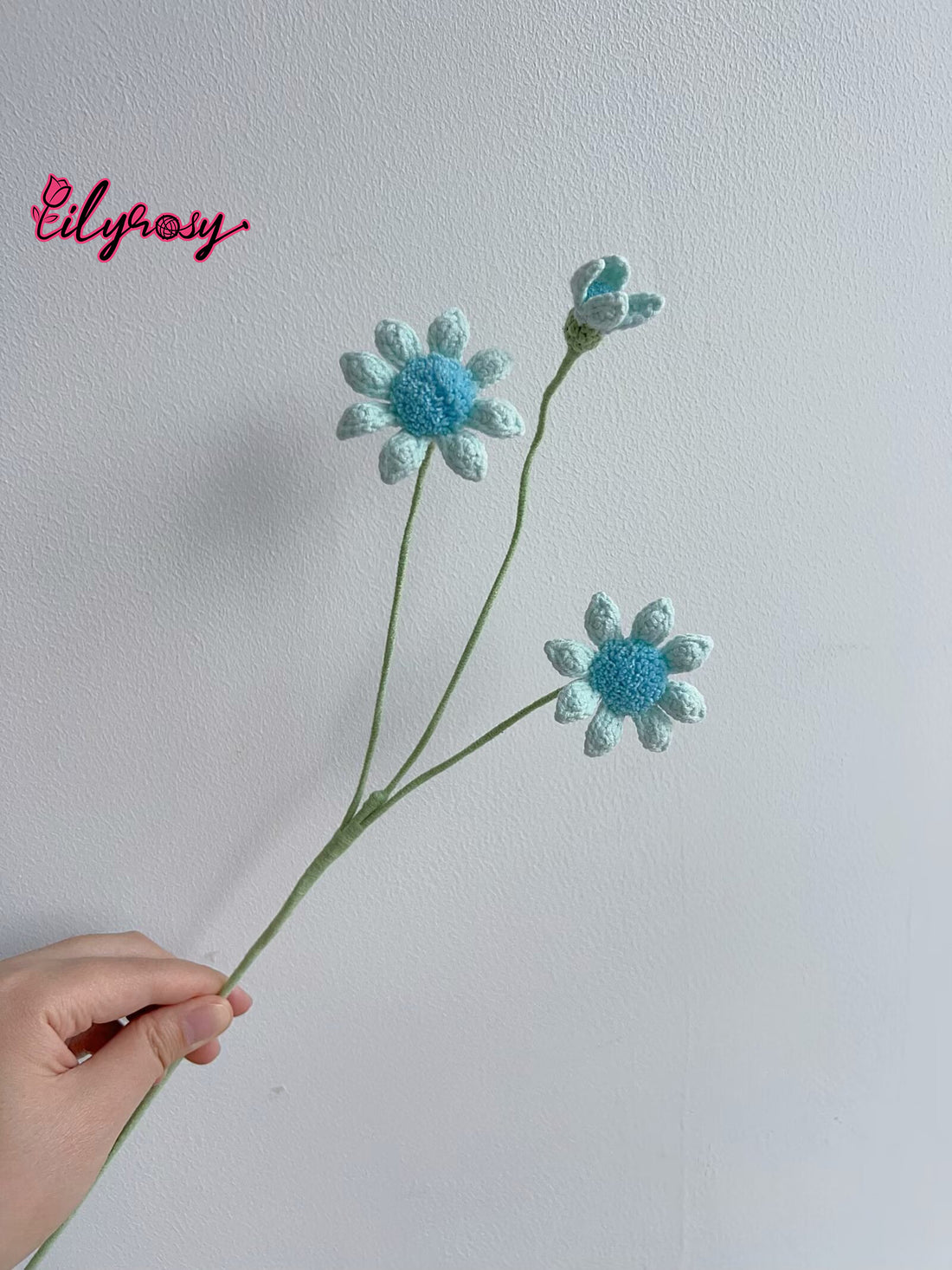 Lilyrosy Crochet Blue-eyed Daisy