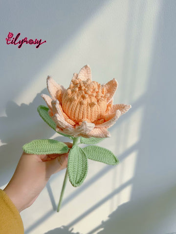 Lilyrosy Crochet King Protea