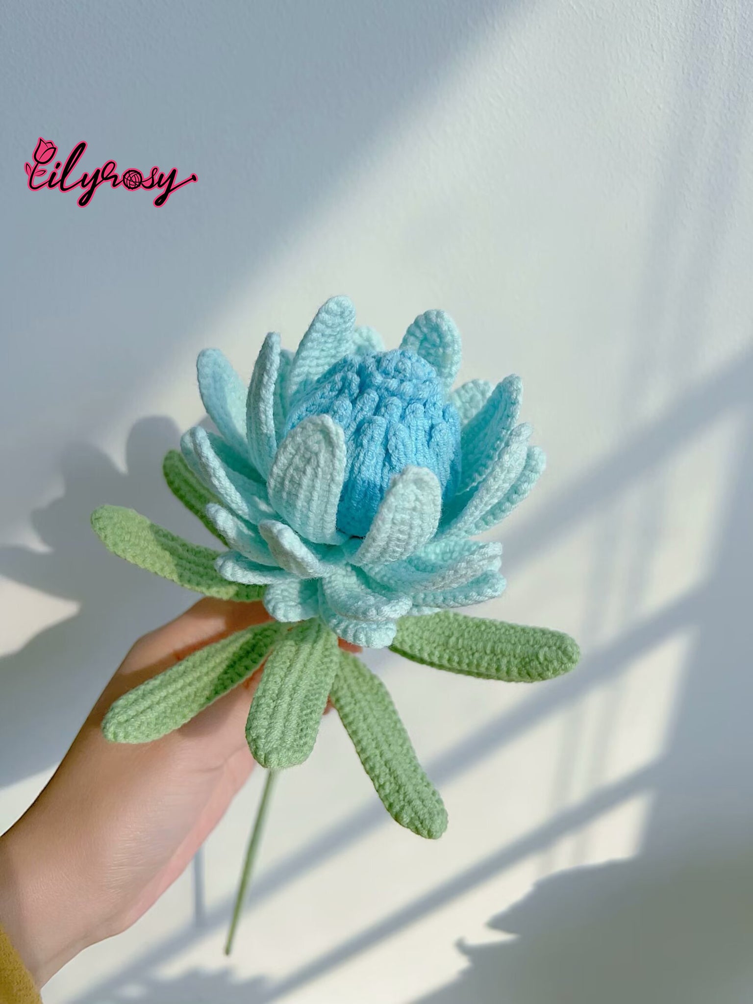 Lilyrosy Crochet princess Protea