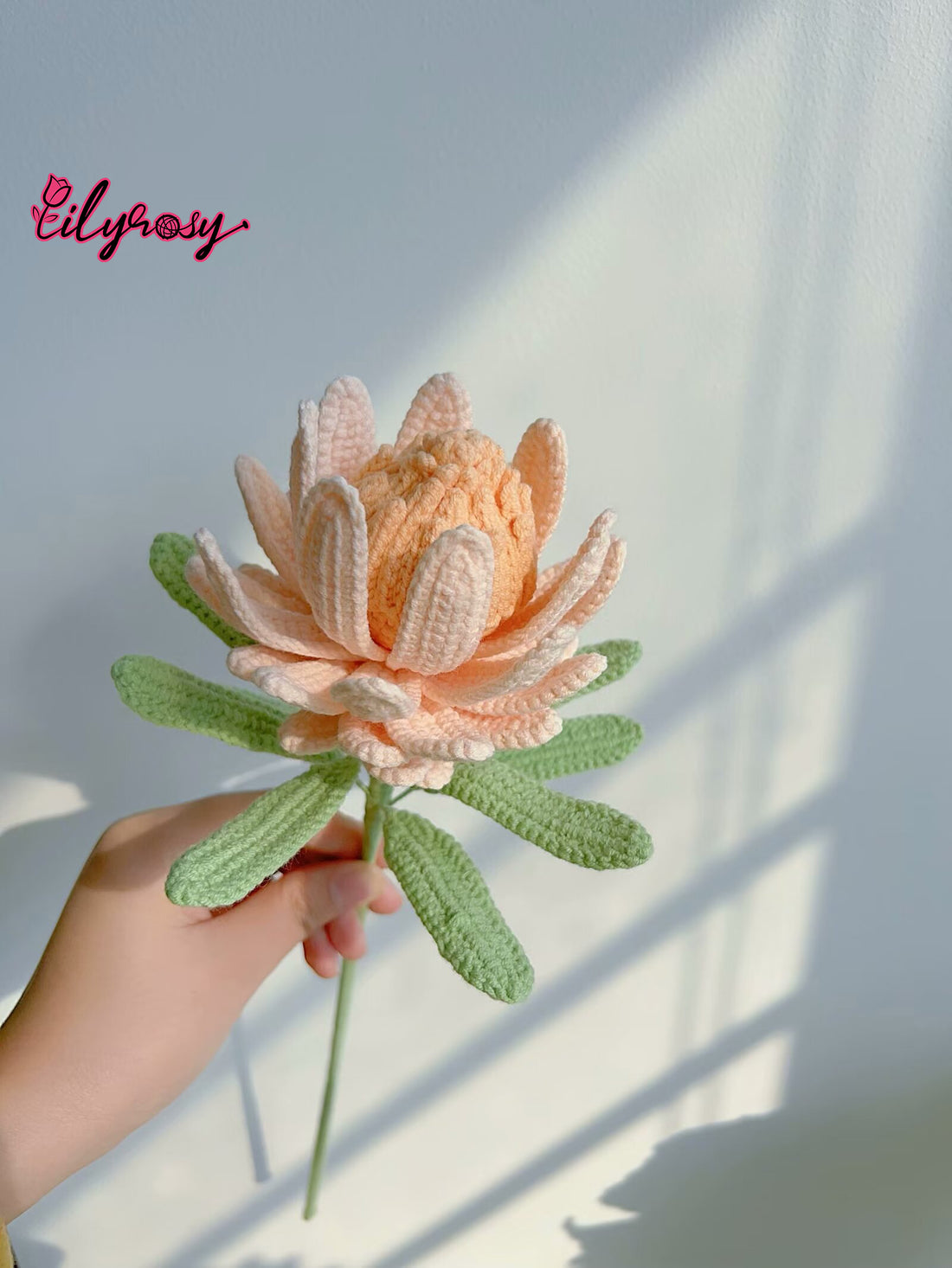 Lilyrosy Crochet princess Protea