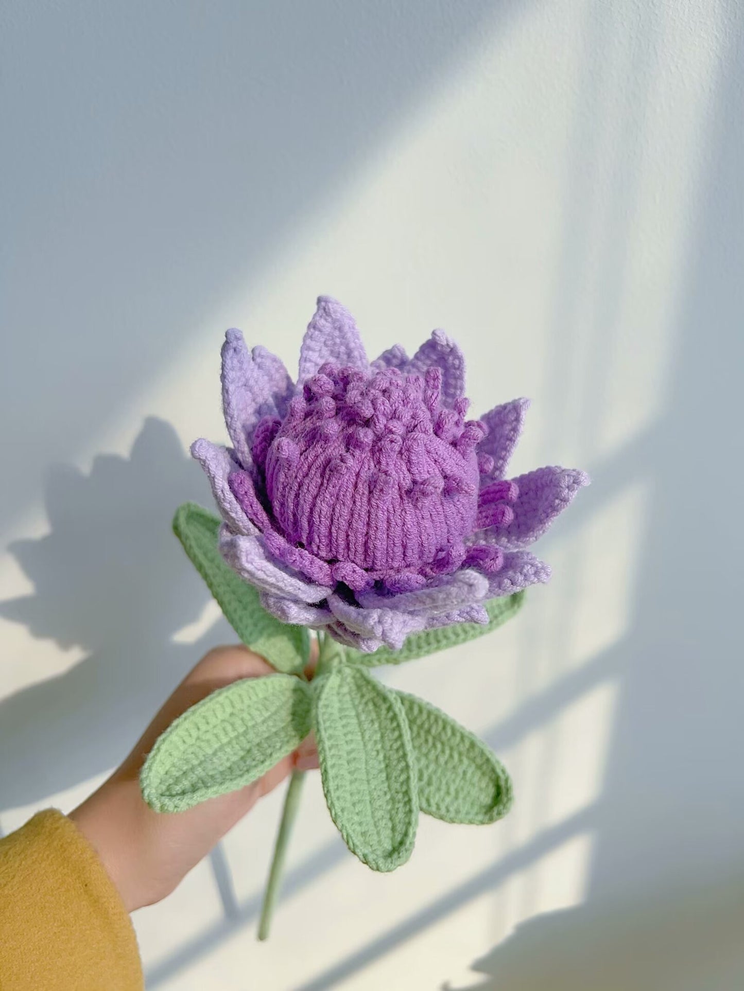 Highly recommend/ Crochet proteas,gift for girlfriend/friend/mom,valentines day gifts