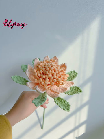 Lilyrosy Crochet Sea God Flower