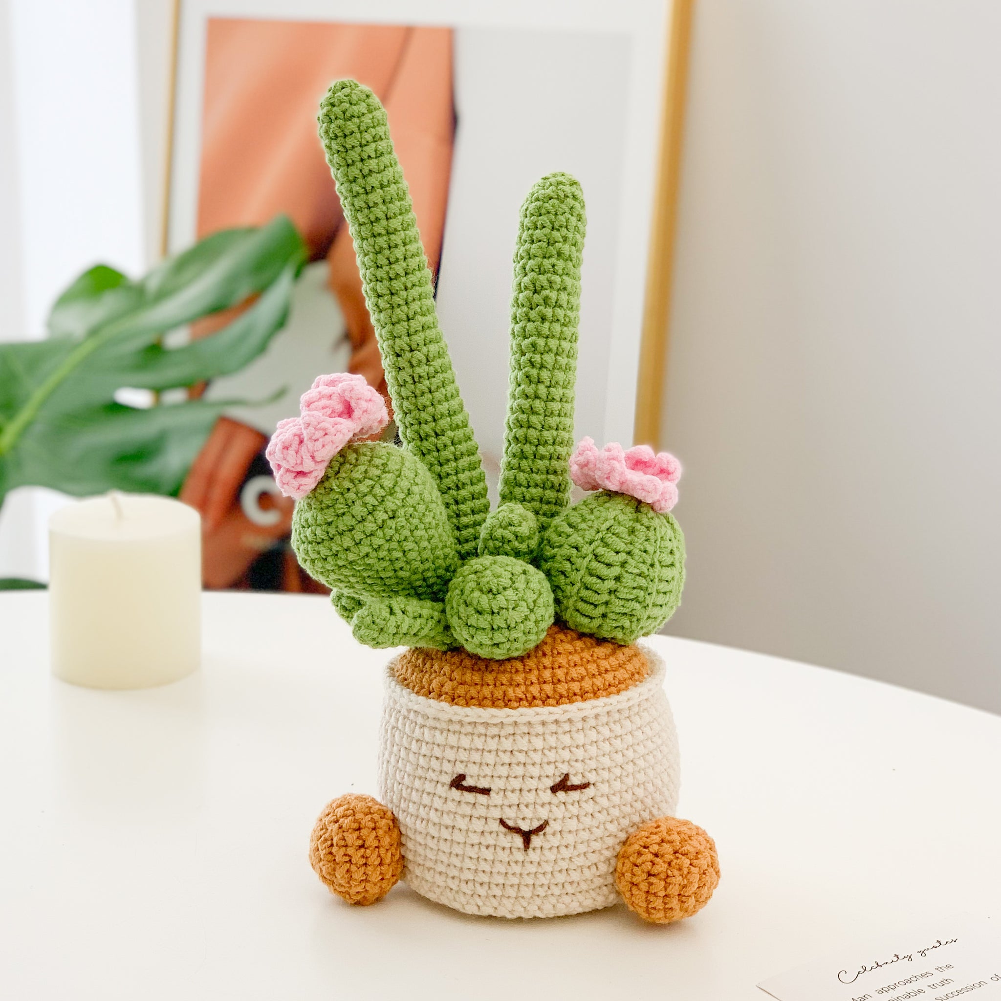 Crochet jellycat cactus pots, gifts for girls, boys, women.