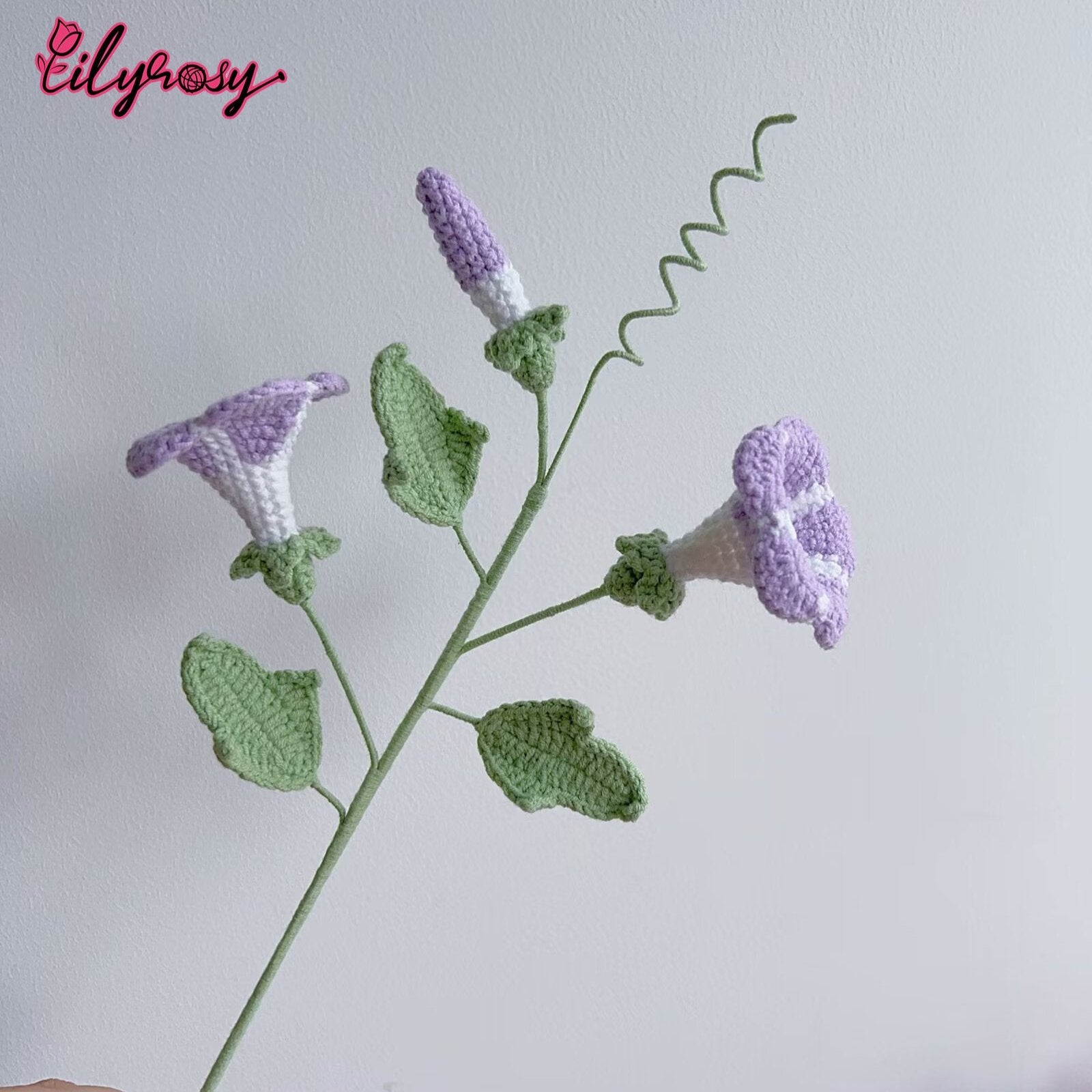 Lilyrosy Crochet Morning Glory