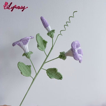 Lilyrosy Crochet Morning Glory