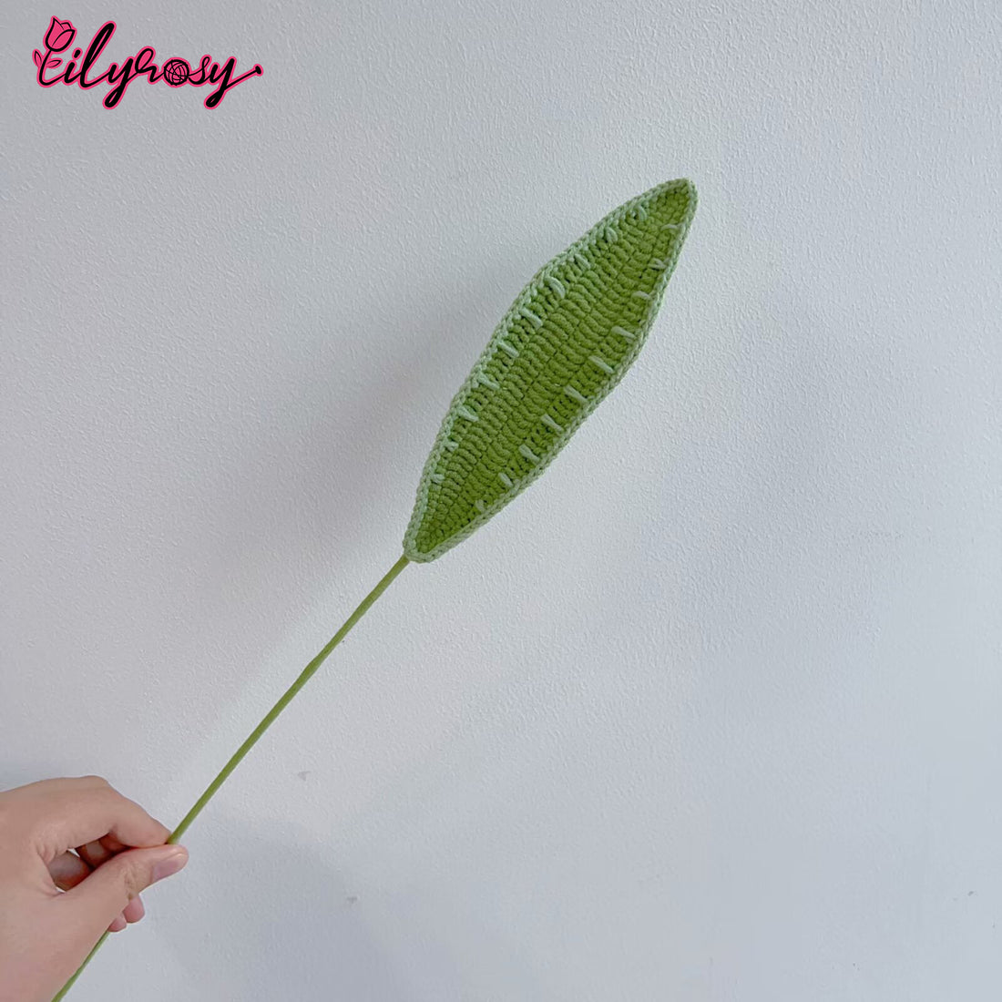 Lilyrosy Crochet snake plant