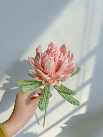 Lilyrosy Crochet King Protea Flowers Patterns with Step by Step Video Tutorial