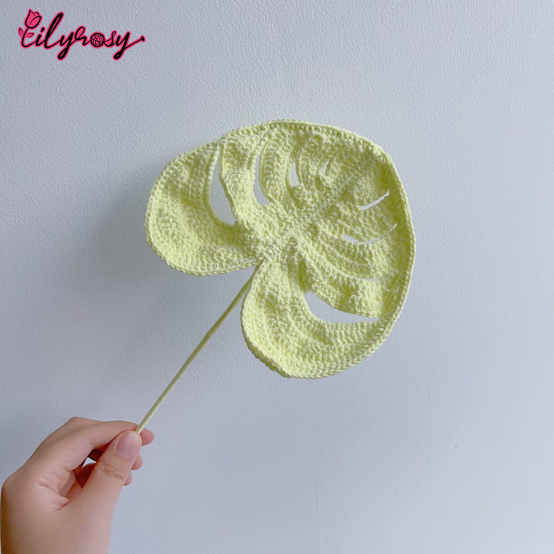 Lilyrosy Crochet Big Monstera