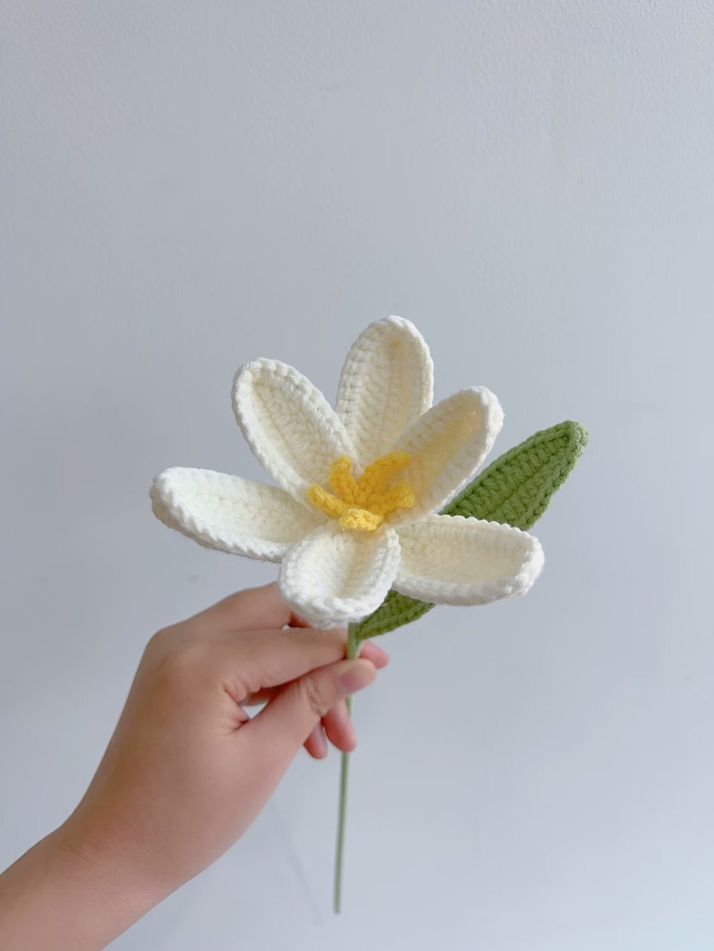 Paquete de patrón de flores de crochet (paquete 8 en 1)