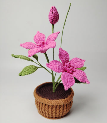 Lilyrosy Crochet cream clematis pot pattern, with video tutorial (US term)