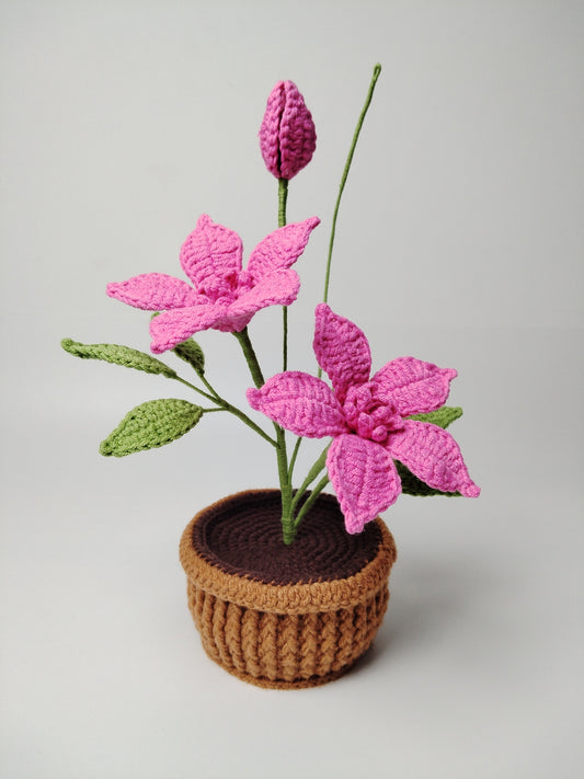 Lilyrosy Crochet cream clematis pot pattern, with video tutorial (US term)