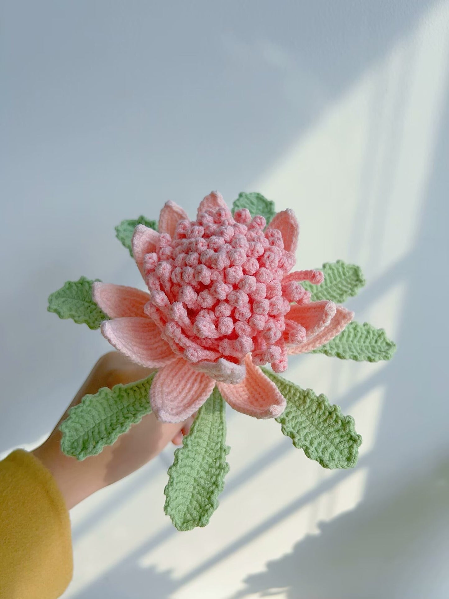 Highly recommend/ Crochet proteas caffra,gift for girlfriend/friend/mom,valentines day gifts