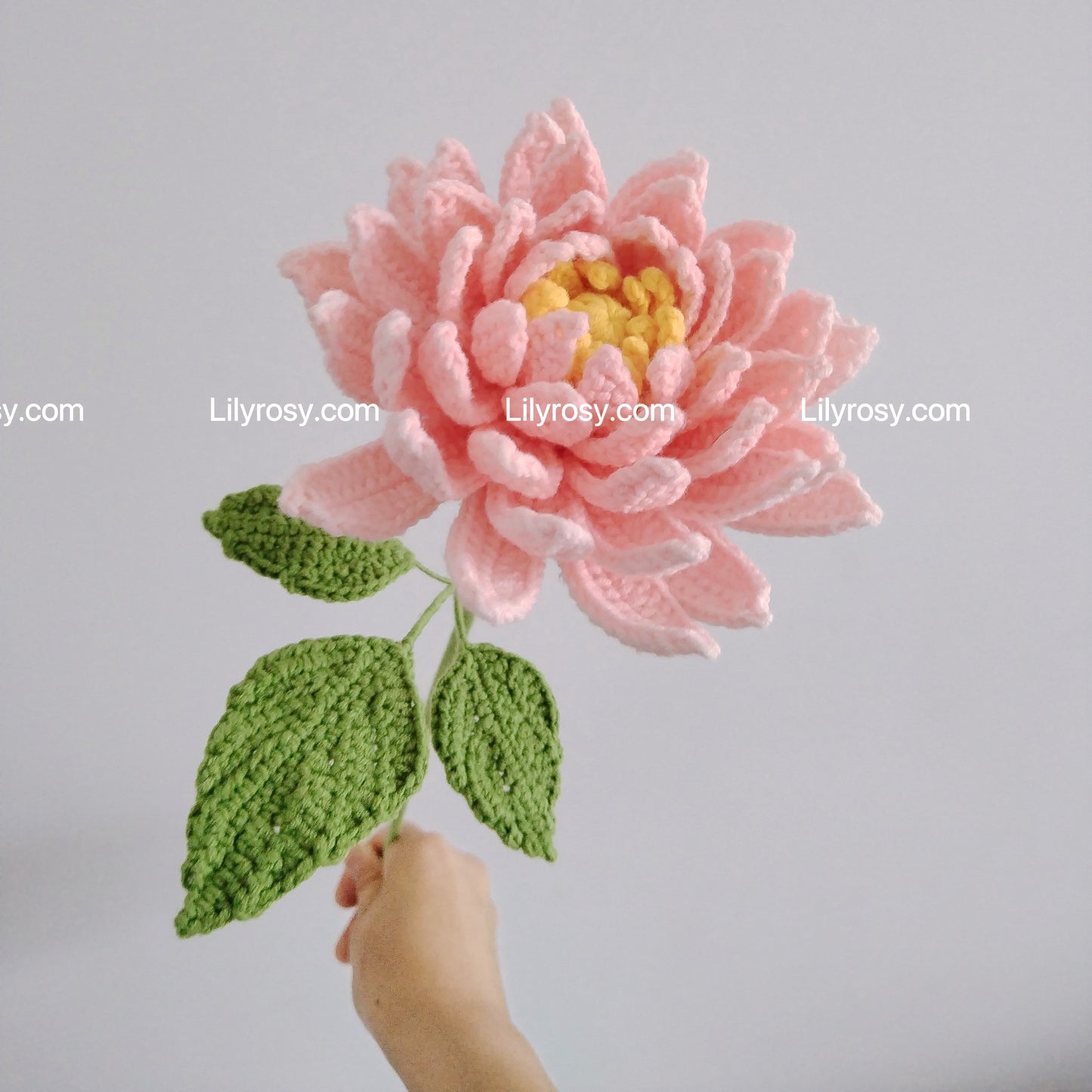 Lilyrosy Crochet Dahlia Flowers Patterns with Step by Step Video Tutorial