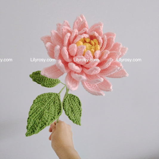 Lilyrosy Crochet Dahlia Flowers Patterns with Step by Step Video Tutorial