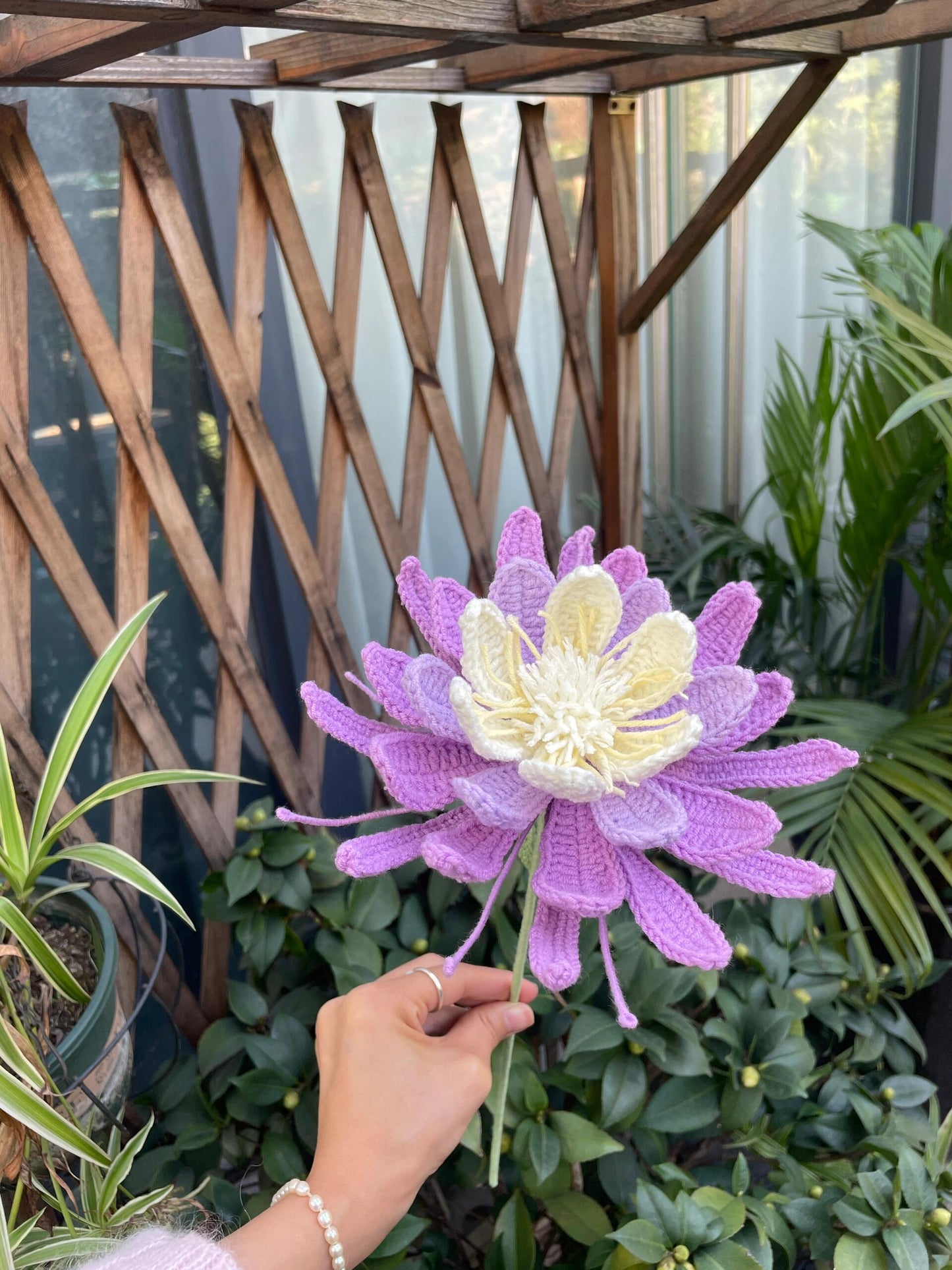 Lilyrosy Crochet Epiphyllum Flowers Patterns with Step by Step Video Tutorial