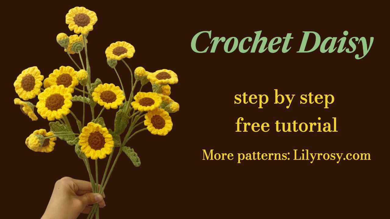 Lilyrosy Crochet Daisy Flowers Patterns with Step by Step Video Tutorial