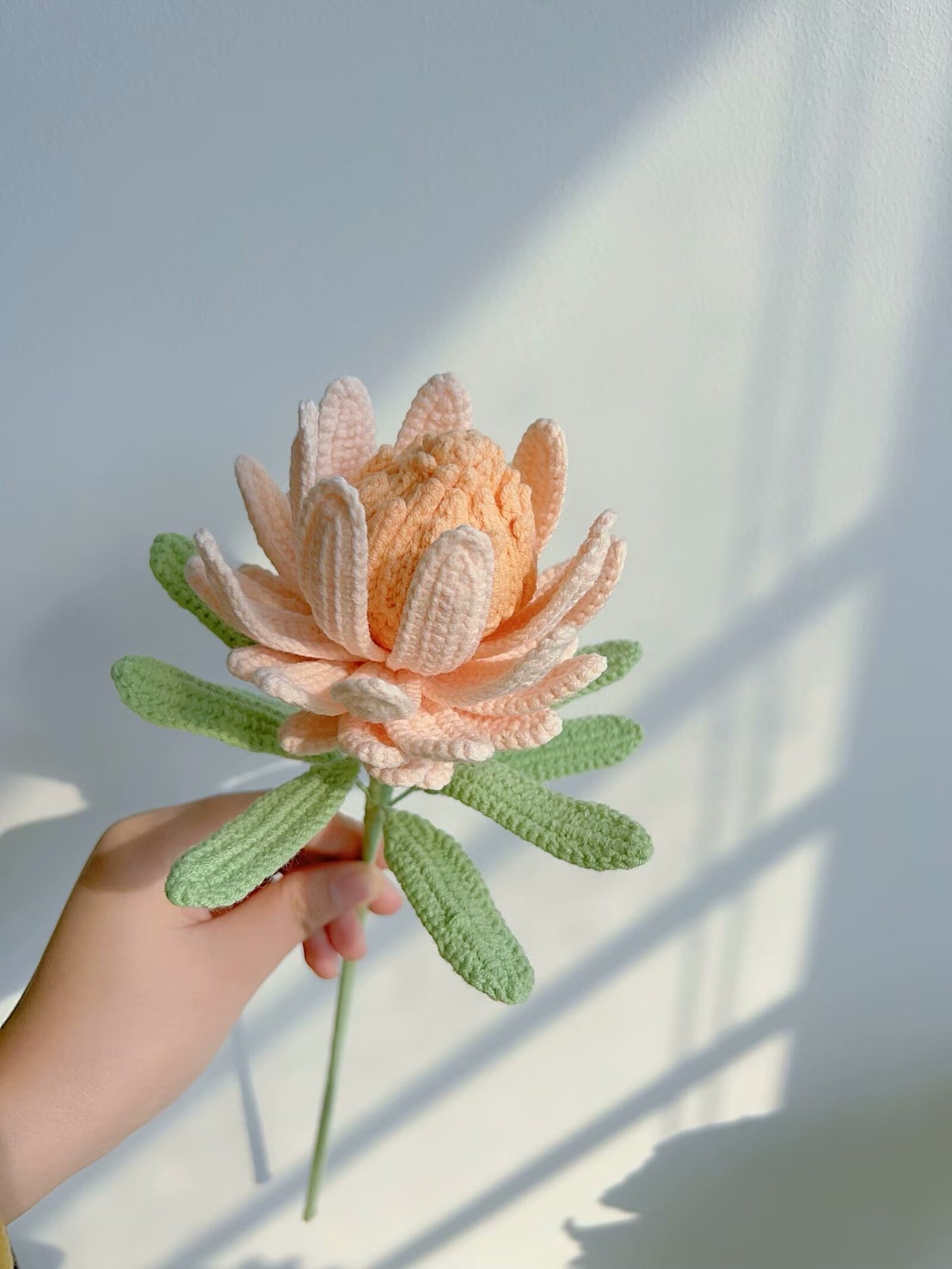 Lilyrosy Crochet King Protea Flowers Patterns with Step by Step Video Tutorial
