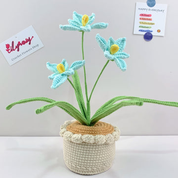 Handmade Crochet narcissus Pots, hoilday gifts,home decor