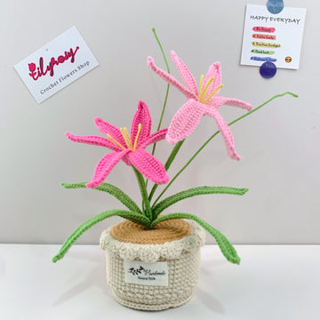Handmade Crochet Rain Lily flowers plant Pots, hoilday gifts,home decor