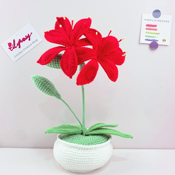 Handmade Crochet amaryllis  flowers  Pots, hoilday gifts,home decor