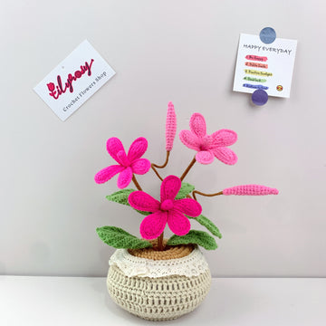 Handmade Crochet frangipani flowers plant Pots, hoilday gifts,home decor