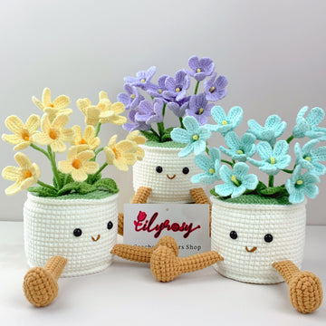 Handmade Crochet flowers plant Pots, hoilday gifts,home decor