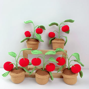 Handmade Crochet Apple plant Pots, hoilday gifts,home decor