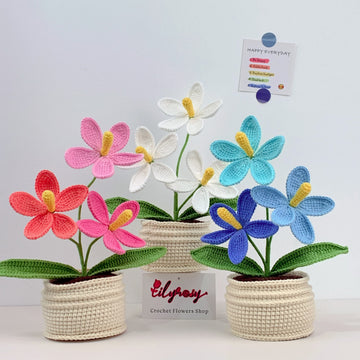 Handmade Crochet  frangipani flowers  Pots, hoilday gifts,home decor