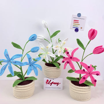 Handmade Crochet Rain Lily flowers plant Pots, hoilday gifts,home decor
