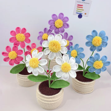 Handmade Crochet Portulaca flower Pots, hoilday gifts,home decor