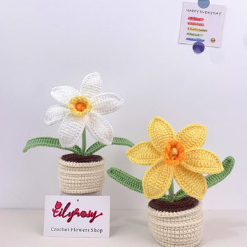 Handmade Crochet narcissus flowers plant Pots, hoilday gifts,home decor