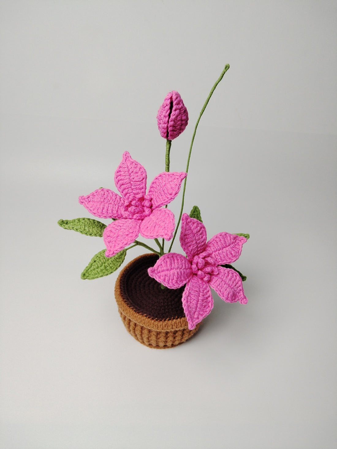 Lilyrosy Crochet cream clematis pot pattern, with video tutorial (US term)