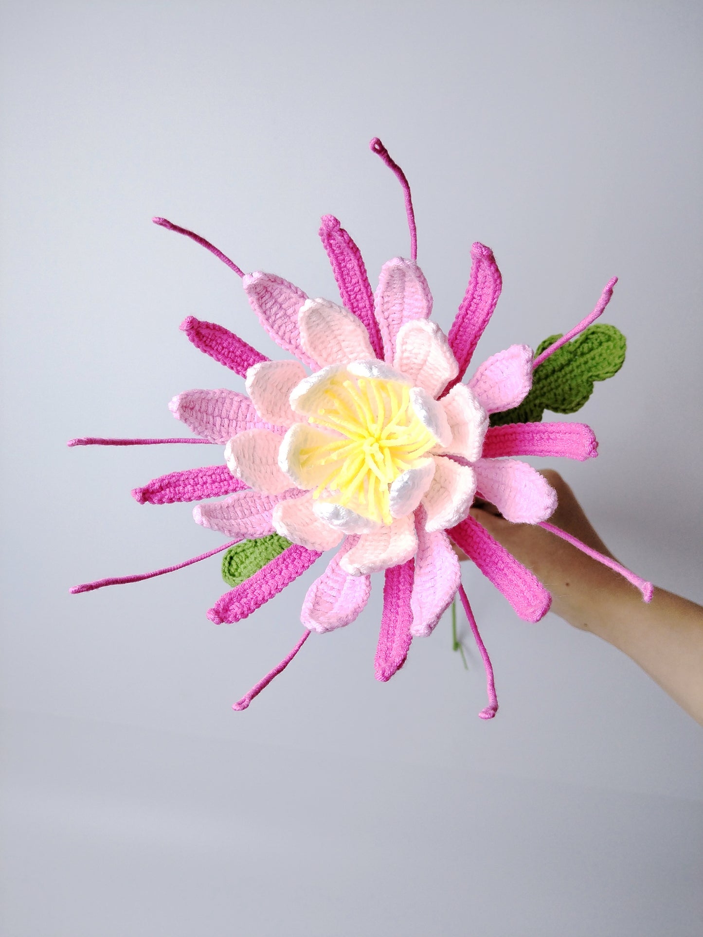 Lilyrosy Crochet Epiphyllum Flowers Patterns with Step by Step Video Tutorial