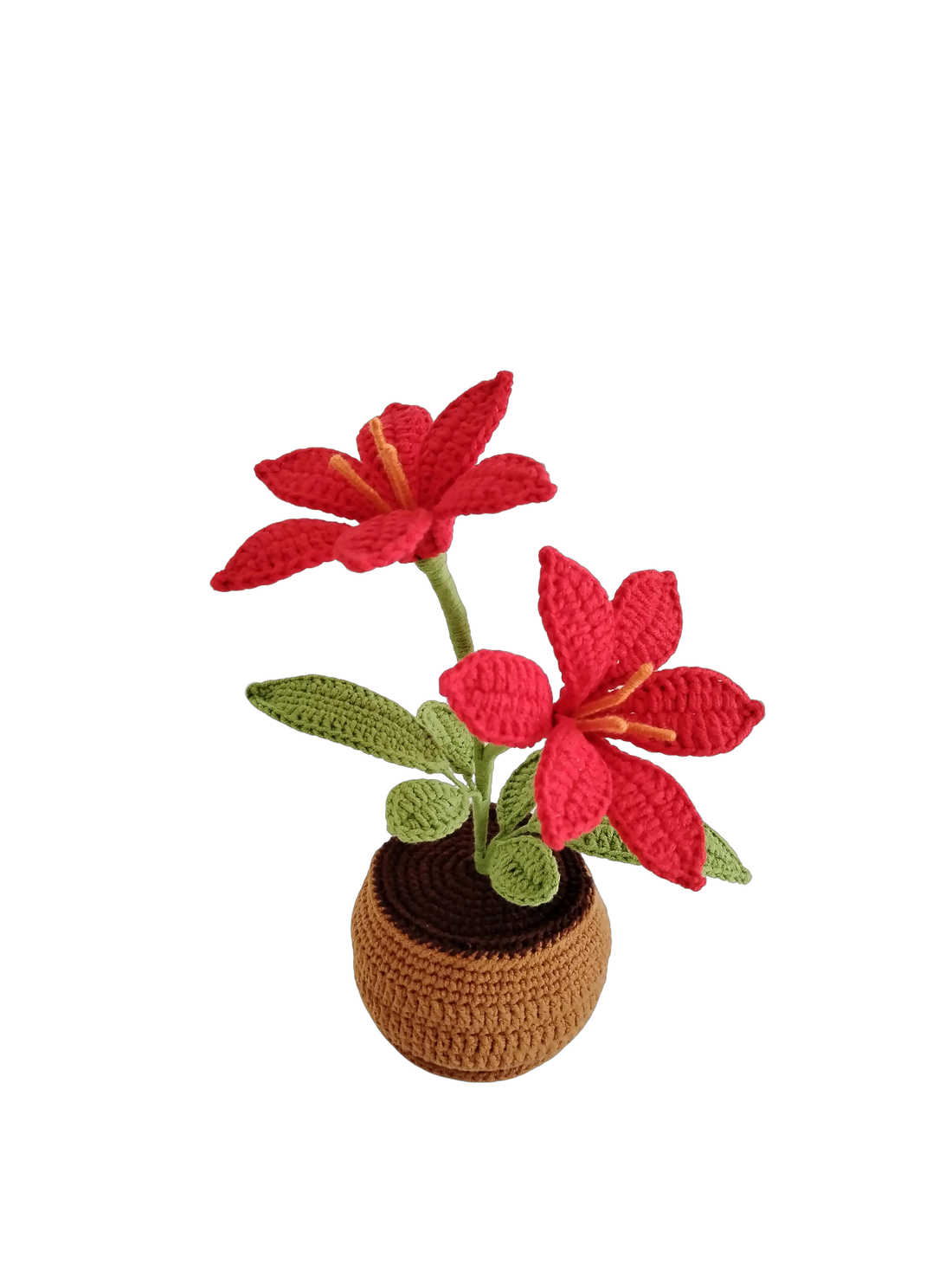 Lilyrosy Crochet alstroemeria pot pattern, with video tutorial (US term)