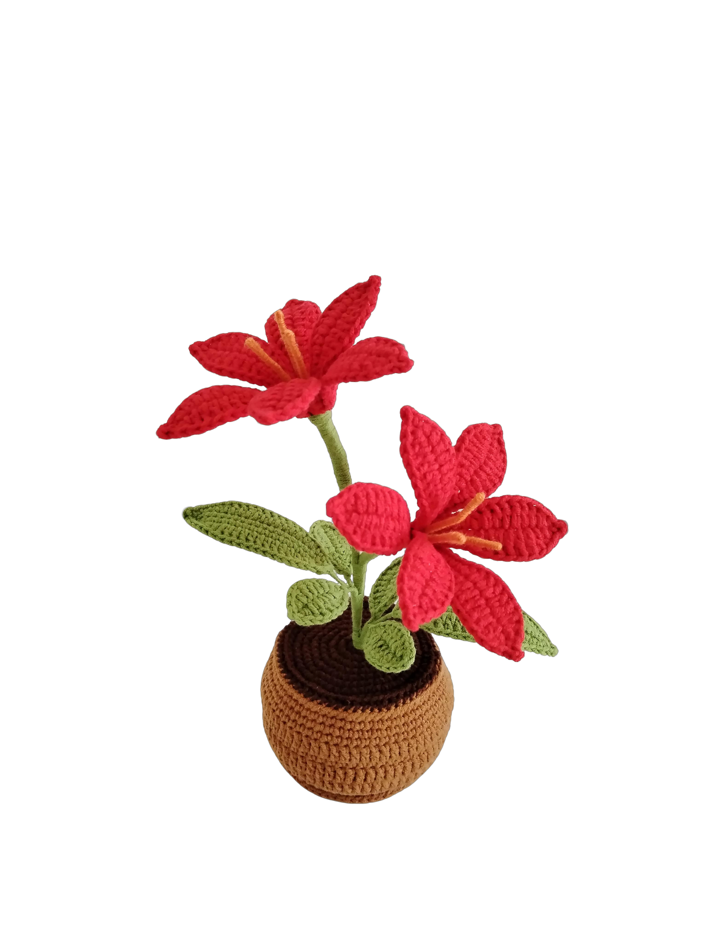 Lilyrosy Crochet alstroemeria pot pattern, with video tutorial (US term)