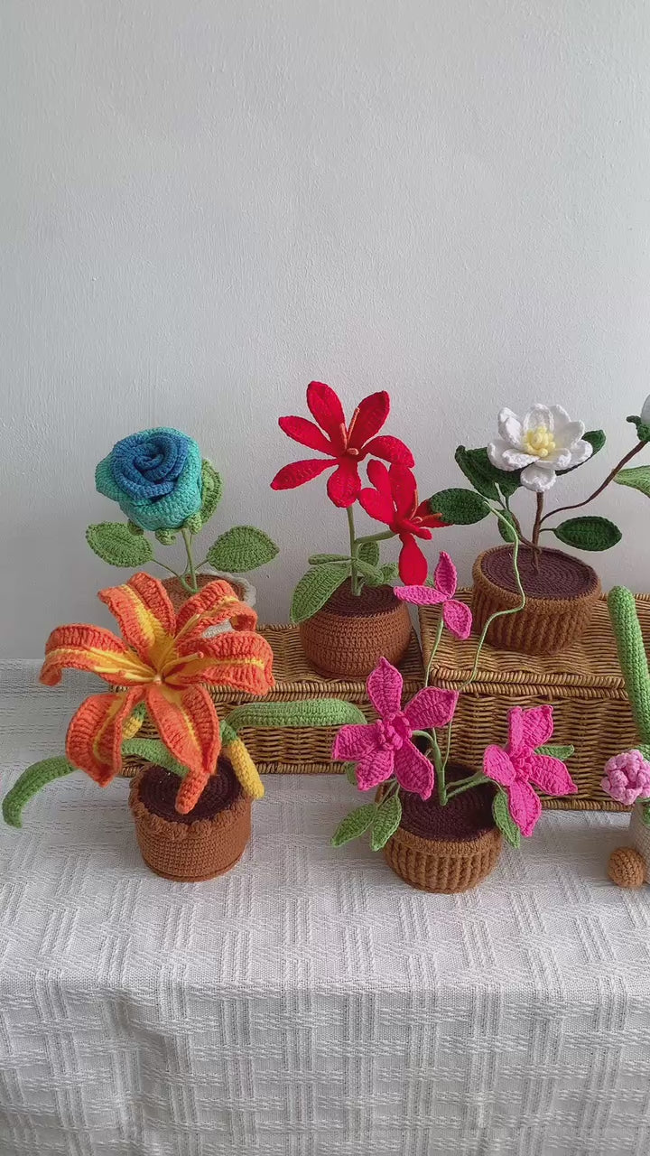 7 in 1 Crochet Flowers Pots pattern, US terms